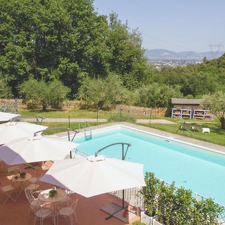 Al Gattosaggio Bed & Breakfast Montecarlo Eksteriør bilde