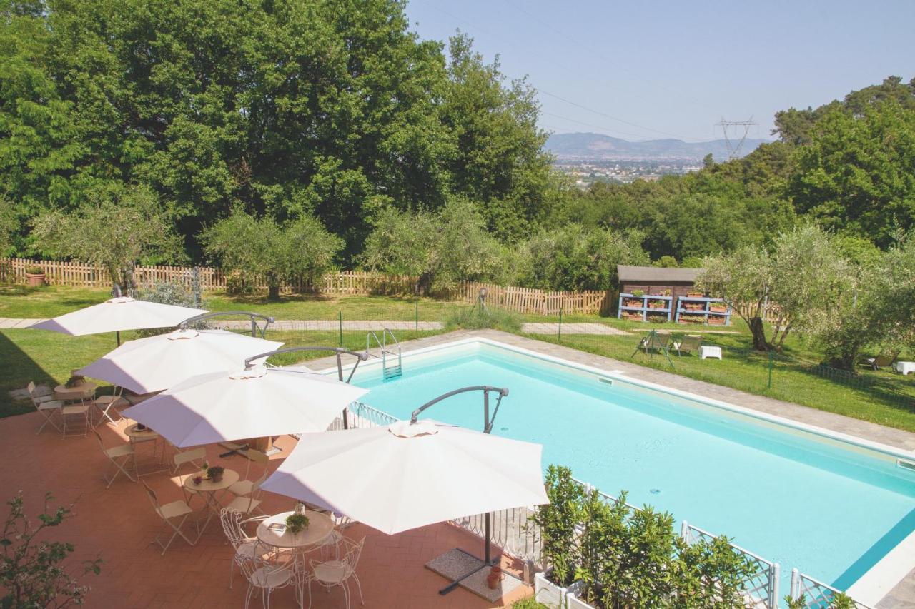 Al Gattosaggio Bed & Breakfast Montecarlo Eksteriør bilde