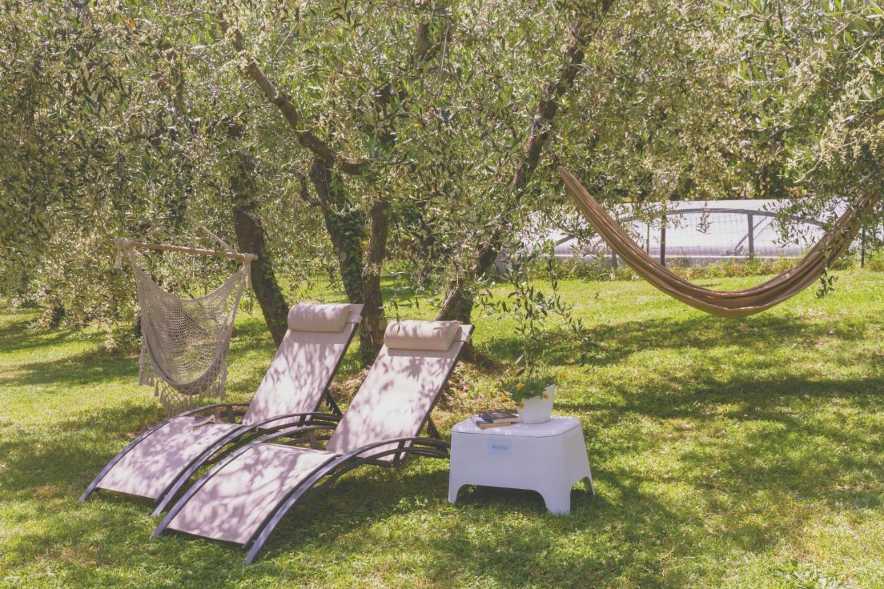 Al Gattosaggio Bed & Breakfast Montecarlo Eksteriør bilde