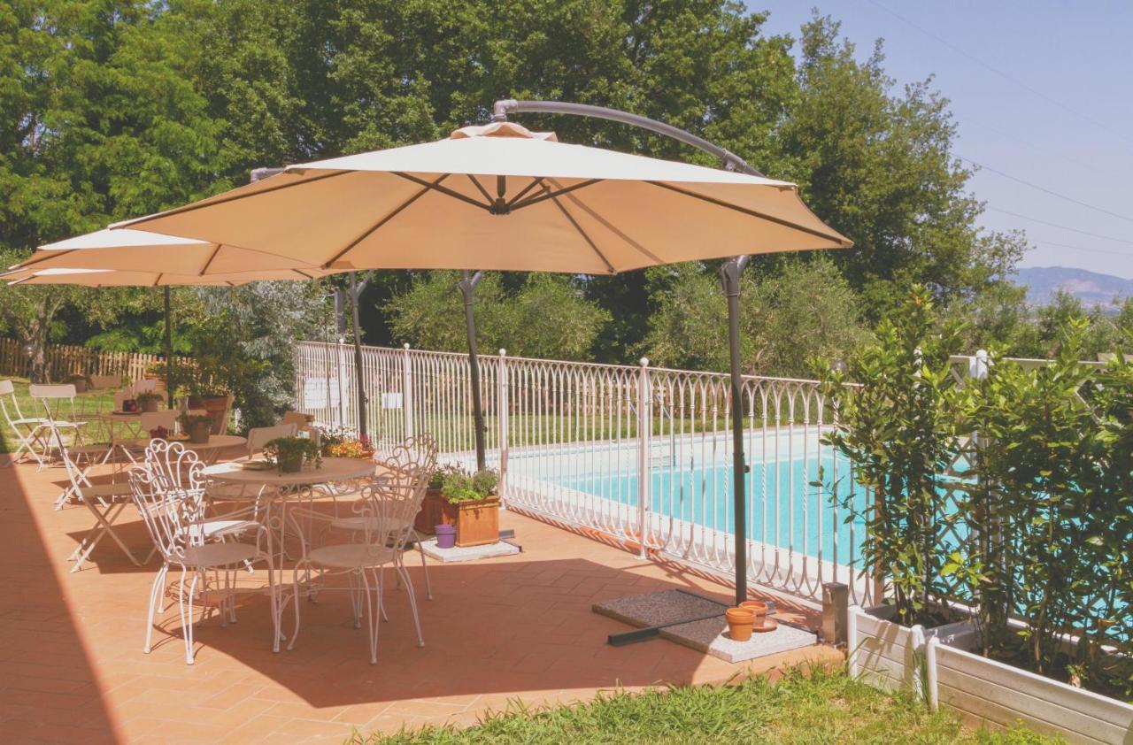 Al Gattosaggio Bed & Breakfast Montecarlo Eksteriør bilde